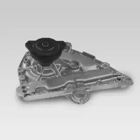 Водяной насос HEPU купить