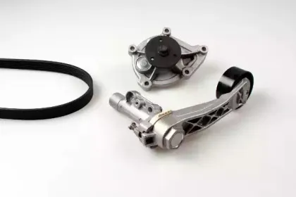 Водяной насос + комплект ручейковых ремней HEPU купить