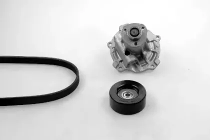 Водяной насос + комплект ручейковых ремней GK купить