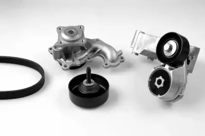 Водяной насос + комплект ручейковых ремней GK купить