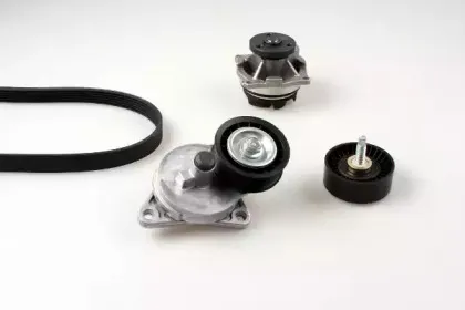Водяной насос + комплект ручейковых ремней GK купить
