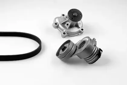 Водяной насос + комплект ручейковых ремней GK купить