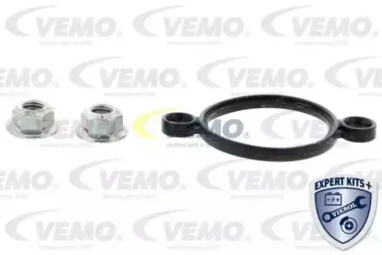 Регулировочн. элемент, эксцентр. вал (вариац. ход клапана) VEMO купить