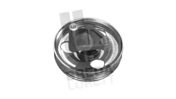 Паразитный / ведущий ролик, поликлиновой ремень BREDA LORETT купить