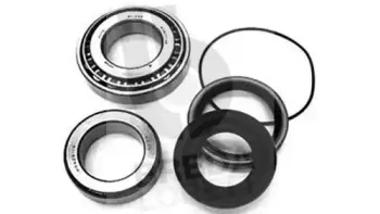 Комплект подшипника ступицы колеса BREDA LORETT купить