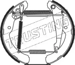 Комплект тормозных колодок TRUSTING купить