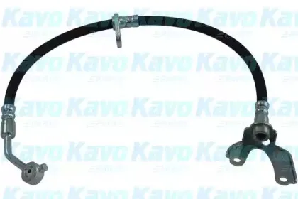 Тормозной шланг KAVO PARTS купить