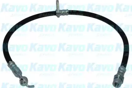 Тормозной шланг KAVO PARTS купить