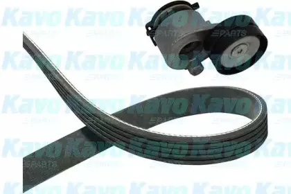 Комплект клинового ремня KAVO PARTS купить