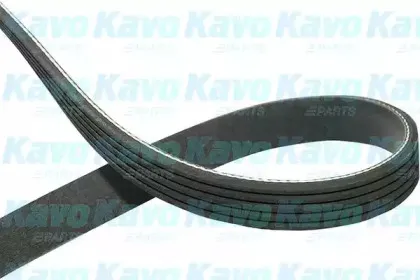Поликлиновой ремень KAVO PARTS купить