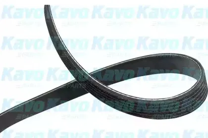 Поликлиновой ремень KAVO PARTS купить