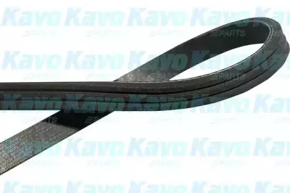 Поликлиновой ремень KAVO PARTS купить