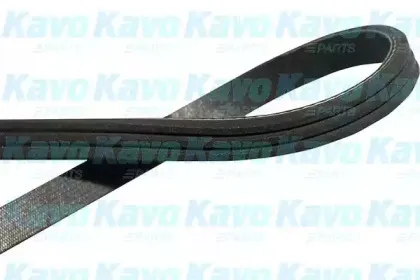 Поликлиновой ремень KAVO PARTS купить