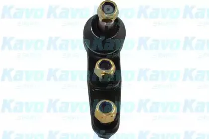 Несущий / направляющий шарнир KAVO PARTS купить