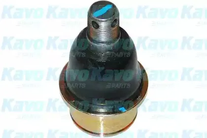 Несущий / направляющий шарнир KAVO PARTS купить