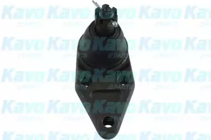 Несущий / направляющий шарнир KAVO PARTS купить