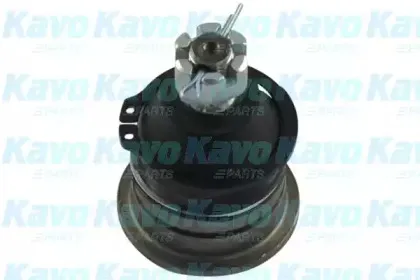 Несущий / направляющий шарнир KAVO PARTS купить