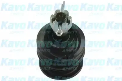 Несущий / направляющий шарнир KAVO PARTS купить