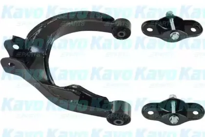 Рычаг независимой подвески колеса, подвеска колеса KAVO PARTS купить