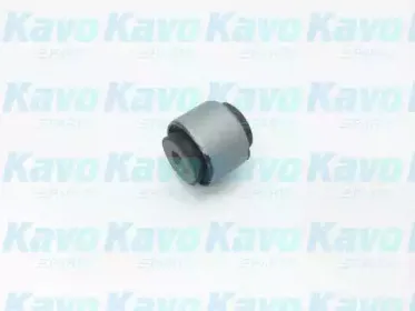 Подвеска, рычаг независимой подвески колеса KAVO PARTS купить