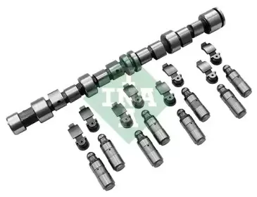 Комплект распредвала INA купить