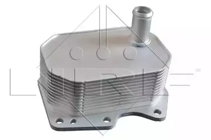 31212 NRF Радіатор масла FORD TRANSIT 2.2D/2.4D 04.06- NRF купить