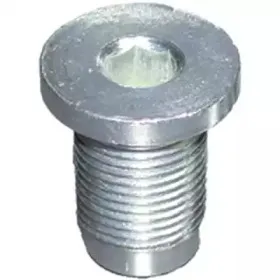 4754  Original Birth - Корок масляного піддона BIRTH купить