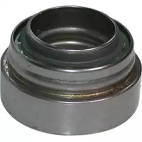 Подшипник, приводной вал BIRTH купить