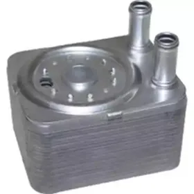 масляный радиатор, двигательное масло BIRTH купить