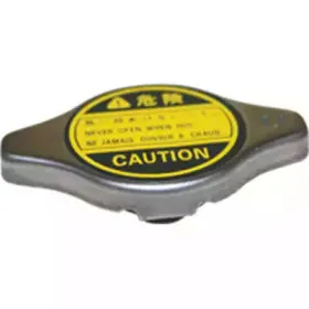 Крышка, радиатор BIRTH купить