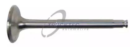 Выпускной клапан TRUCKTEC AUTOMOTIVE купить