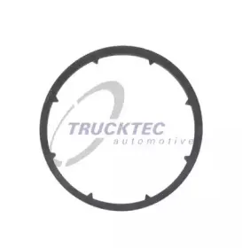 Прокладка, масляный радиатор TRUCKTEC AUTOMOTIVE купить