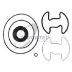 Комплект прокладок, гидравлический насос TRUCKTEC AUTOMOTIVE купить