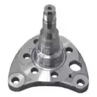 Поворотный кулак, подвеска колеса TRUCKTEC AUTOMOTIVE купить