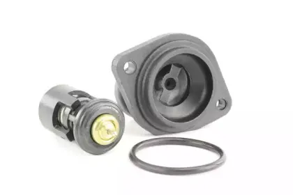 Термостат, охлаждающая жидкость BOUGICORD купить