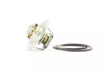 Термостат, охлаждающая жидкость BOUGICORD купить