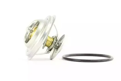 Термостат, охлаждающая жидкость BOUGICORD купить