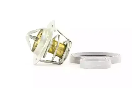 Термостат, охлаждающая жидкость BOUGICORD купить