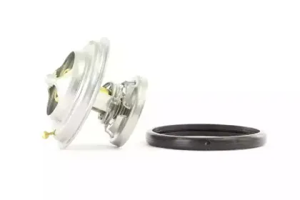 Термостат, охлаждающая жидкость BOUGICORD купить