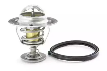 Термостат, охлаждающая жидкость BOUGICORD купить