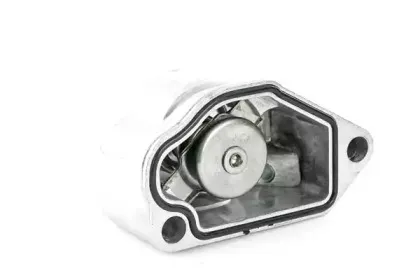 Термостат, охлаждающая жидкость BOUGICORD купить