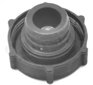 RC0009 VERNET Кришка розширювального баку CALORSTAT BY VERNET купить