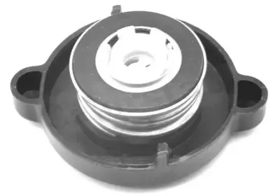 RC0020 VERNET Кришка розширювального баку CALORSTAT BY VERNET купить