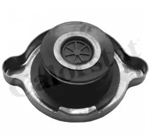 RC0022 VERNET Кришка розширювального баку CALORSTAT BY VERNET купить