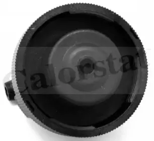 Крышка, резервуар охлаждающей жидкости CALORSTAT by Vernet купить