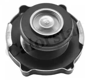 RC0153 VERNET Кришка розширювального баку CALORSTAT BY VERNET купить