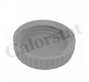 RC0185 VERNET Кришка розширювального баку CALORSTAT BY VERNET купить