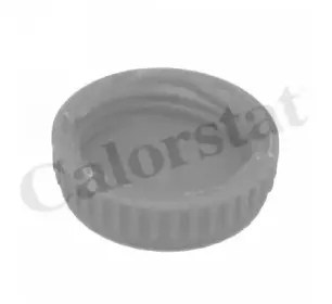 Крышка, резервуар охлаждающей жидкости CALORSTAT by Vernet купить