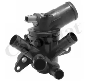 Термостат, охлаждающая жидкость CALORSTAT by Vernet купить