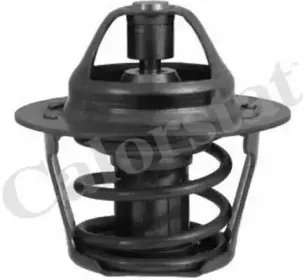 Термостат, охлаждающая жидкость CALORSTAT by Vernet купить